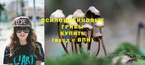 эйфоретик Аркадак